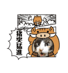しゃむしゃむスタンプ②（個別スタンプ：21）