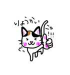 トラネコちゃん専用スタンプ（個別スタンプ：2）