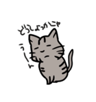 トラネコちゃん専用スタンプ（個別スタンプ：10）