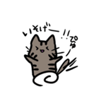 トラネコちゃん専用スタンプ（個別スタンプ：12）