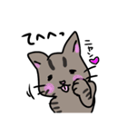 トラネコちゃん専用スタンプ（個別スタンプ：23）