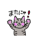 トラネコちゃん専用スタンプ（個別スタンプ：26）