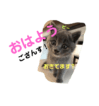 ピーとプー（個別スタンプ：1）