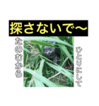 ピーとプー（個別スタンプ：3）