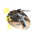 ピーとプー（個別スタンプ：6）