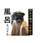 ピーとプー（個別スタンプ：7）