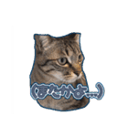 能面キジトラ猫の日常すたんぷ（個別スタンプ：10）