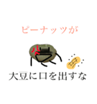 【まめお】のすたんぷ（個別スタンプ：16）