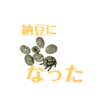 【まめお】のすたんぷ（個別スタンプ：20）
