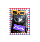 にゃぷらす1（個別スタンプ：3）
