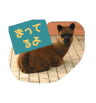にゃぷらす1（個別スタンプ：11）