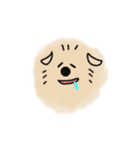 ポメ子のきもち（個別スタンプ：16）