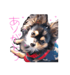 ティーやん（個別スタンプ：5）