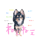 ティーやん（個別スタンプ：6）