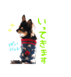 ティーやん（個別スタンプ：18）