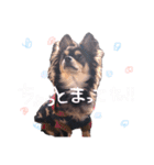 ティーやん（個別スタンプ：23）