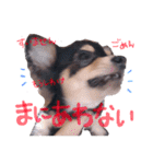 ティーやん（個別スタンプ：31）