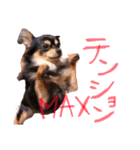 ティーやん（個別スタンプ：36）