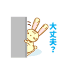 そらみみうさぎ（個別スタンプ：37）