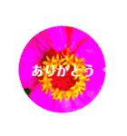 EUROPE flower2♡♡[日本語]（個別スタンプ：4）