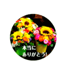 EUROPE flower2♡♡[日本語]（個別スタンプ：5）