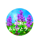 EUROPE flower2♡♡[日本語]（個別スタンプ：16）
