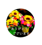 EUROPE flower3♡[日本語敬語]（個別スタンプ：5）