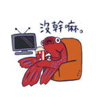 かわいいベタのアホン（個別スタンプ：10）