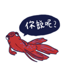 かわいいベタのアホン（個別スタンプ：12）