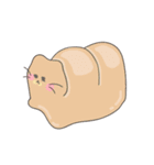 肥えた猫 "bbang-nyangg"（個別スタンプ：15）