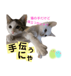 保護猫ちこ＆そーbyオハナビーズ（個別スタンプ：18）
