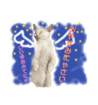 保護猫ちこ＆そーbyオハナビーズ（個別スタンプ：24）