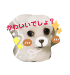 まるぷー★まると黒猫むく②（個別スタンプ：15）