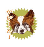 ぜーんぶパピヨン！〜犬のハナ（個別スタンプ：3）