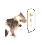 ぜーんぶパピヨン！〜犬のハナ（個別スタンプ：8）