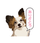 ぜーんぶパピヨン！〜犬のハナ（個別スタンプ：11）