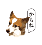 ぜーんぶパピヨン！〜犬のハナ（個別スタンプ：18）