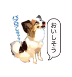 ぜーんぶパピヨン！〜犬のハナ（個別スタンプ：19）