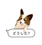 ぜーんぶパピヨン！〜犬のハナ（個別スタンプ：38）