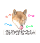 わし、太郎2（個別スタンプ：7）