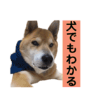 わし、太郎2（個別スタンプ：25）