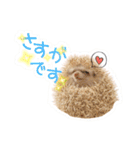 ハリネズミのノア＆カミー★ダーツ編（個別スタンプ：14）