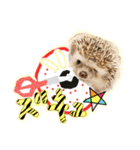 ハリネズミのノア＆カミー★ダーツ編（個別スタンプ：17）