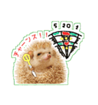 ハリネズミのノア＆カミー★ダーツ編（個別スタンプ：19）