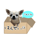 スムチのピーチ（個別スタンプ：5）