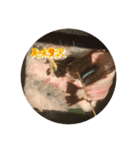 食の癒し（個別スタンプ：3）