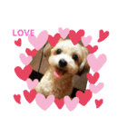 you and moco love（個別スタンプ：1）
