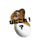 you and moco love（個別スタンプ：9）