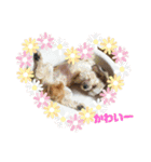 you and moco love（個別スタンプ：10）