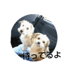 you and moco love（個別スタンプ：11）